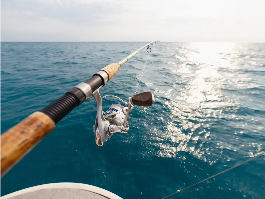 fishing season image